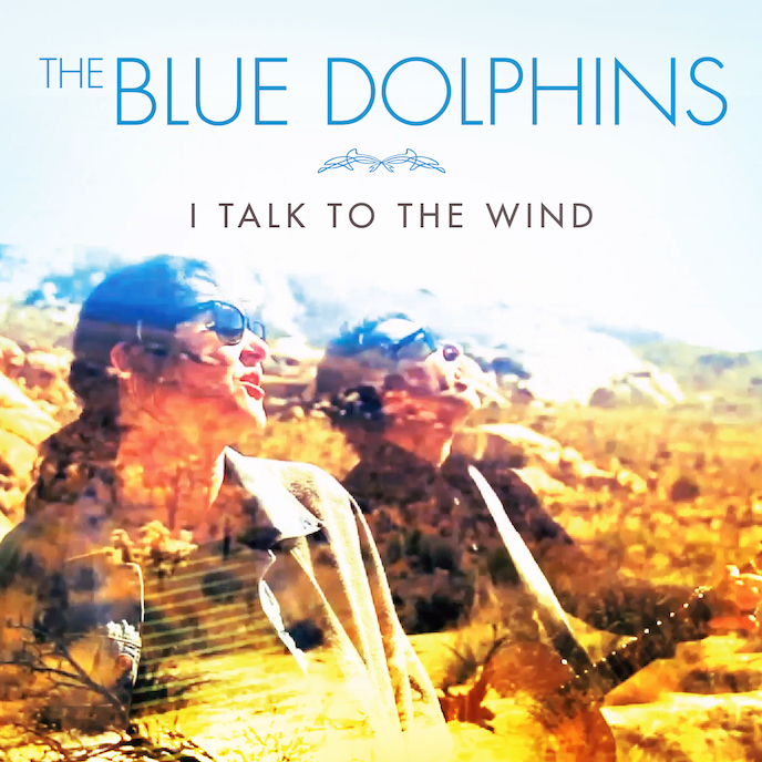 BlueDolphins_Wind copy Small.jpg